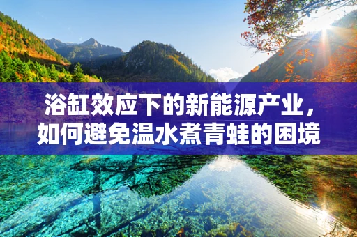 浴缸效应下的新能源产业，如何避免温水煮青蛙的困境？