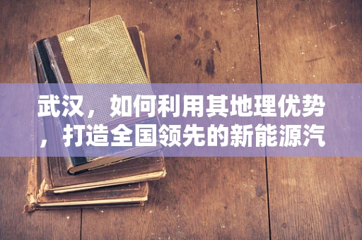 武汉，如何利用其地理优势，打造全国领先的新能源汽车充电网络？