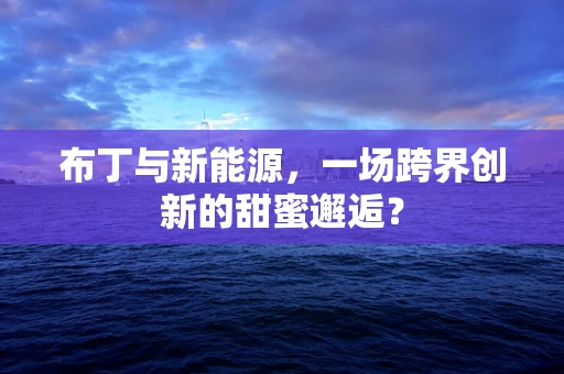 布丁与新能源，一场跨界创新的甜蜜邂逅？