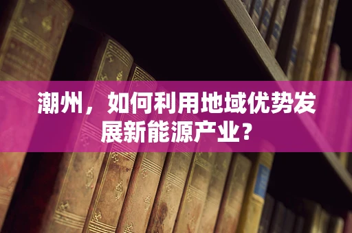 潮州，如何利用地域优势发展新能源产业？