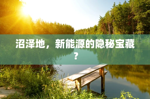 沼泽地，新能源的隐秘宝藏？