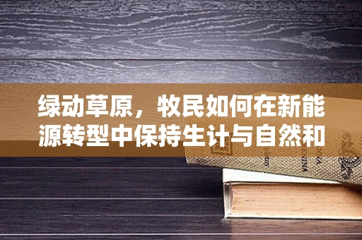 绿动草原，牧民如何在新能源转型中保持生计与自然和谐共生？