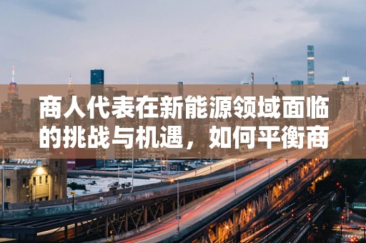 商人代表在新能源领域面临的挑战与机遇，如何平衡商业利益与可持续发展？