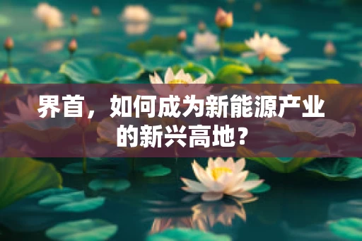 界首，如何成为新能源产业的新兴高地？