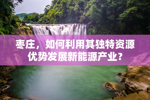 枣庄，如何利用其独特资源优势发展新能源产业？