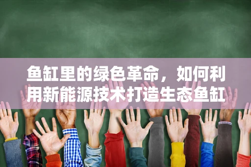 鱼缸里的绿色革命，如何利用新能源技术打造生态鱼缸？