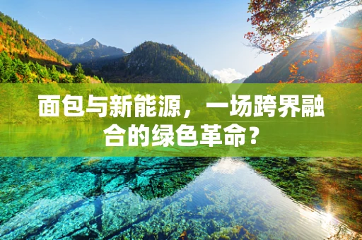 面包与新能源，一场跨界融合的绿色革命？