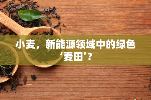 小麦，新能源领域中的绿色‘麦田’？