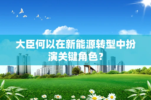 大臣何以在新能源转型中扮演关键角色？