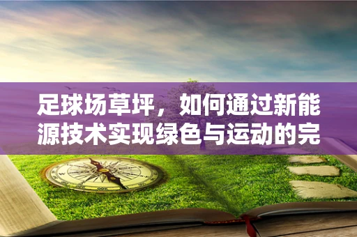 足球场草坪，如何通过新能源技术实现绿色与运动的完美融合？