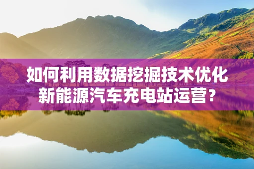 如何利用数据挖掘技术优化新能源汽车充电站运营？