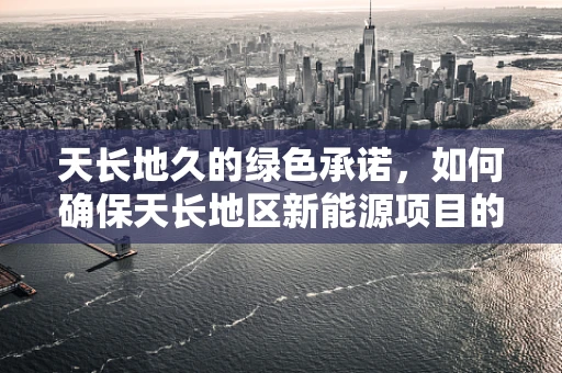 天长地久的绿色承诺，如何确保天长地区新能源项目的持久效益？