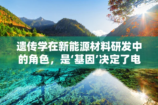 遗传学在新能源材料研发中的角色，是‘基因’决定了电池的未来吗？