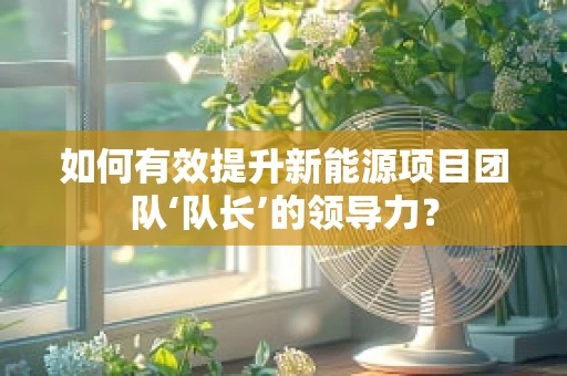 如何有效提升新能源项目团队‘队长’的领导力？