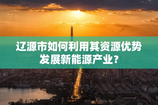 辽源市如何利用其资源优势发展新能源产业？