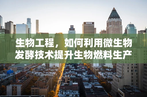 生物工程，如何利用微生物发酵技术提升生物燃料生产效率？