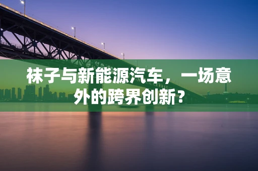 袜子与新能源汽车，一场意外的跨界创新？