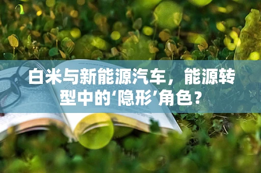 白米与新能源汽车，能源转型中的‘隐形’角色？