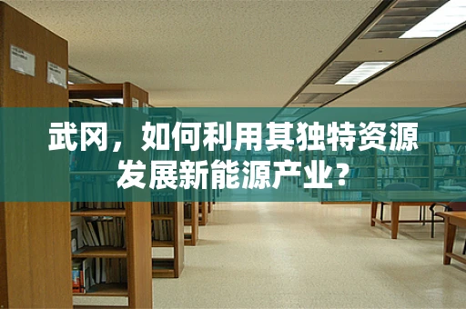 武冈，如何利用其独特资源发展新能源产业？