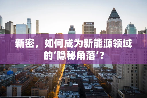 新密，如何成为新能源领域的‘隐秘角落’？