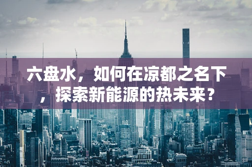 六盘水，如何在凉都之名下，探索新能源的热未来？