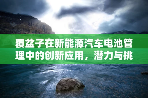 覆盆子在新能源汽车电池管理中的创新应用，潜力与挑战并存？