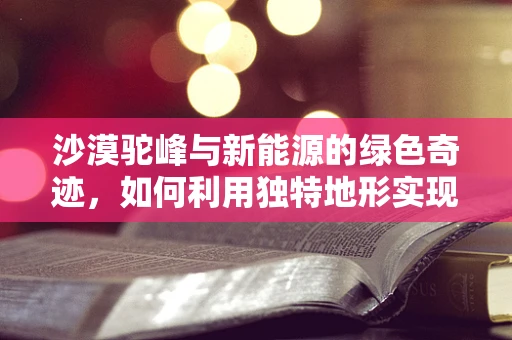 沙漠驼峰与新能源的绿色奇迹，如何利用独特地形实现高效储能？