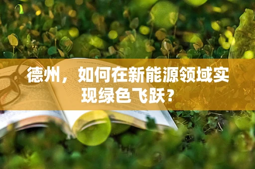 德州，如何在新能源领域实现绿色飞跃？