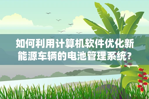 如何利用计算机软件优化新能源车辆的电池管理系统？